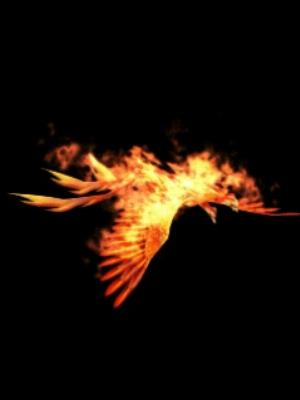 Animated Phoenix.jpg